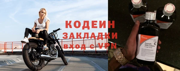 ГАЛЛЮЦИНОГЕННЫЕ ГРИБЫ Верхний Тагил