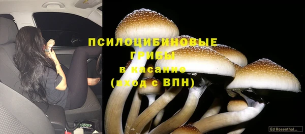 ГАЛЛЮЦИНОГЕННЫЕ ГРИБЫ Верхний Тагил