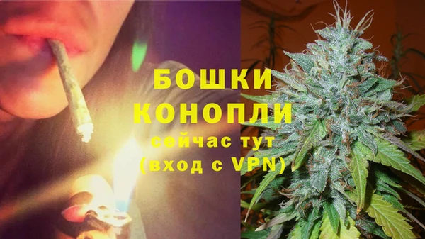 ГАЛЛЮЦИНОГЕННЫЕ ГРИБЫ Верхний Тагил