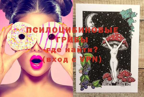 шишки Верхнеуральск